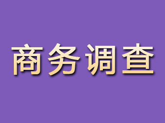 阿拉善商务调查